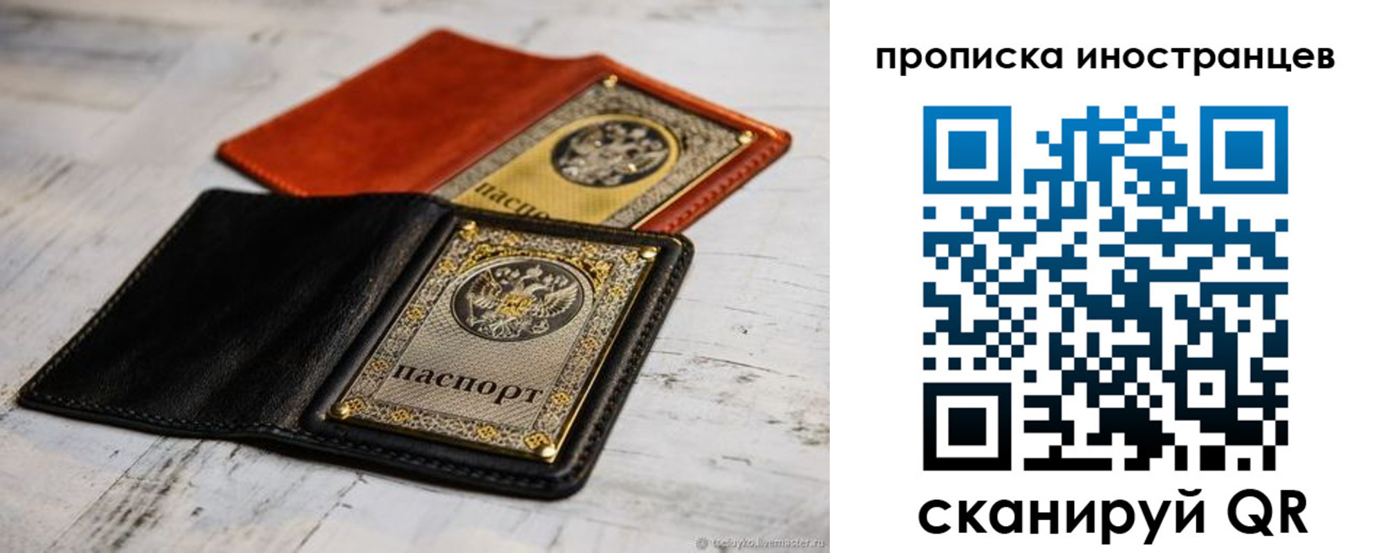 прописка в Купино